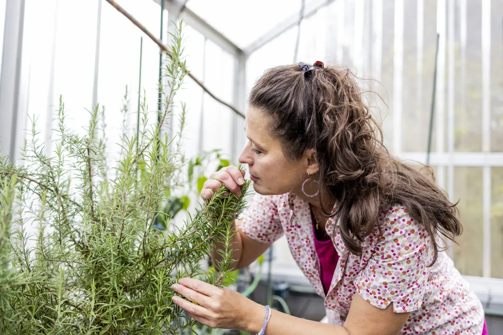 La ruda y el romero aportan bienestar y cuidan la energía de la casa.