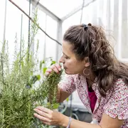 La ruda y el romero aportan bienestar y cuidan la energía de la casa.