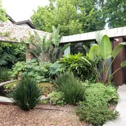 Las plantas tropicales no solo intervienen en el paisaje sino que además traen muchos beneficios.