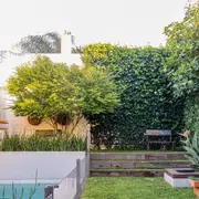 Las plantas tupidas son el límite natural de un jardín.