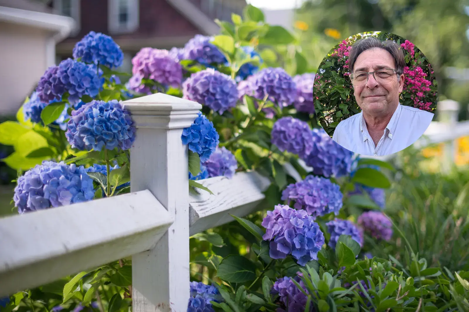 Foto de hortensias y el jardinero viral.