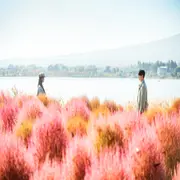 ¡Doona! está disponible en Netflix