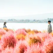 ¡Doona! está disponible en Netflix