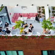 Restaurantes buenos, bonitos y baratos para despedir el año con amigos o compañeros de trabajo.