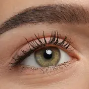 Las cejas y pestañas de una mujer