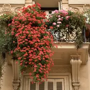 balcón con flores