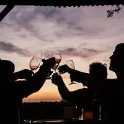 La Ruta del Vino en Buenos Aires: se viene la vendimia nocturna