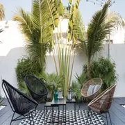 Sumar un poco de verde a tu terraza le dará vida y movimiento