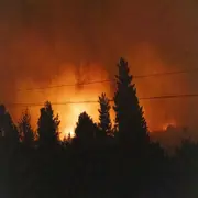 Un bosque prendiéndose fuego.