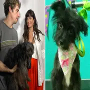 La historia de Uma, la perra que interpreta a Roto en Envidiosa.