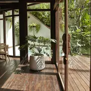 Si buscás delimitar espacios, aportar frescura y sombra, las plantas son un recurso clásico que nunca falla.