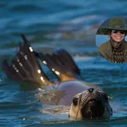 Foto del sur argentino.