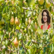 Natalia Oreiro es conocida por su amor por la naturaleza y su compromiso con el medio ambiente