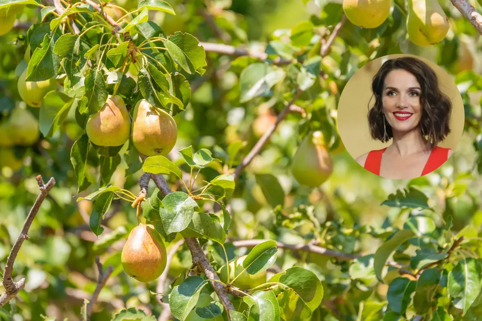 Natalia Oreiro es conocida por su amor por la naturaleza y su compromiso con el medio ambiente