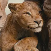 Foto de Mufasa: El Rey León