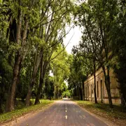 Ni Lobos ni Mercedes, el pueblito rural cerca de la ciudad de Buenos Aires ideal para una escapada por Semana Santa
