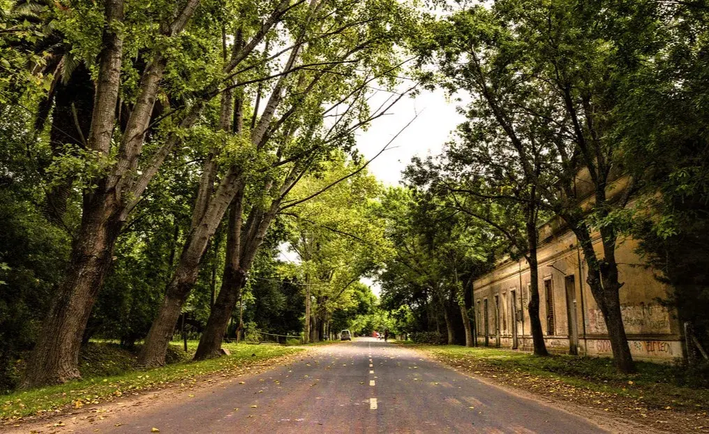 Ni Lobos ni Mercedes, el pueblito rural cerca de la ciudad de Buenos Aires ideal para una escapada por Semana Santa
