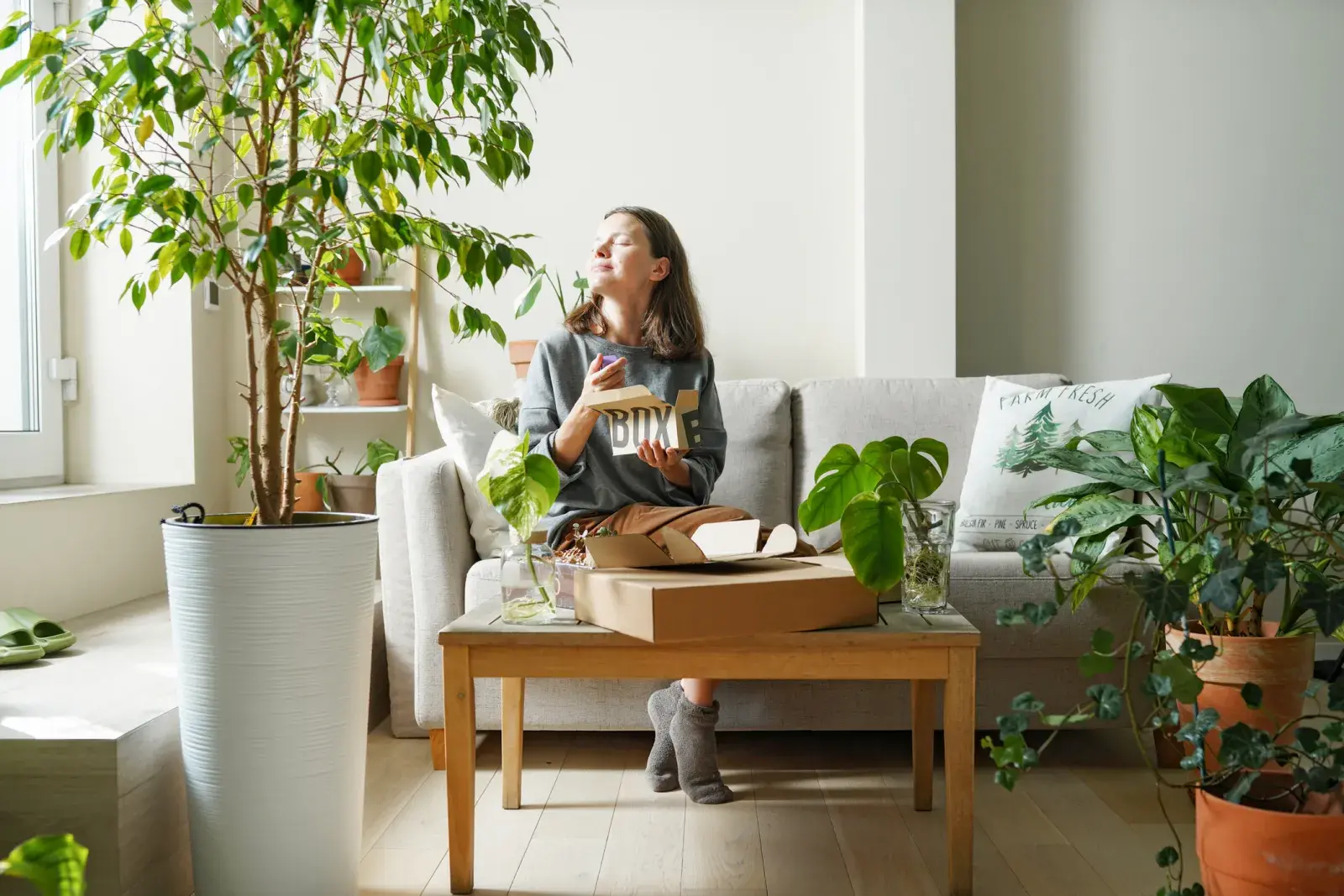 Tener muchas plantas en casa causa un impacto directo en el estado de ánimo.