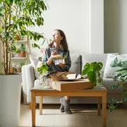 Tener muchas plantas en casa causa un impacto directo en el estado de ánimo.