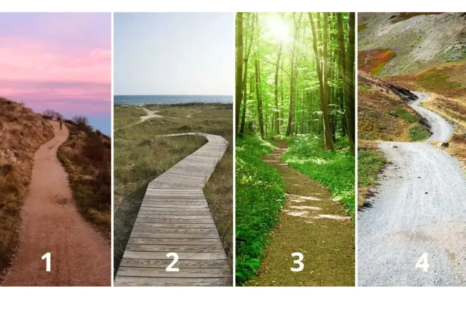 Dependiendo del camino elegido revelarás tu motivacíón en la vida