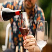 Un buen brindis por el día del padre: elegí con qué vino.