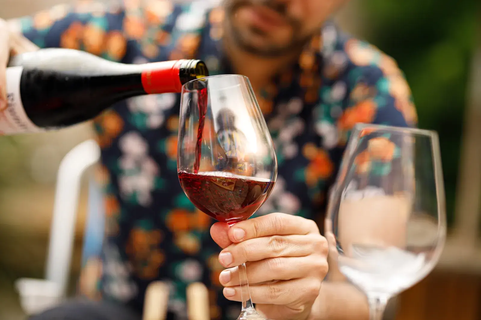 Un buen brindis por el día del padre: elegí con qué vino.