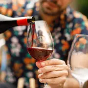 Un buen brindis por el día del padre: elegí con qué vino.