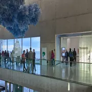 Museo Mar, en Mar del Plata, siempre con propuestas culturales para ver el finde en familia.