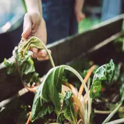 La sequía es una preocupación en el Día Mundial del Medioambiente