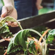 La sequía es una preocupación en el Día Mundial del Medioambiente