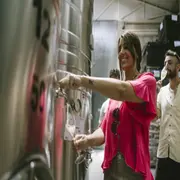 Vacaciones de invierno entre viñedos: 5 experiencias para disfrutar el vino