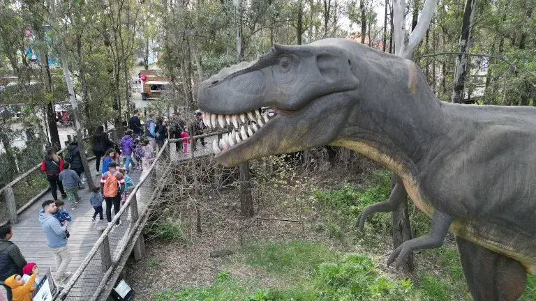 Tierra de Dinos: un paseo para descubrir dinosaurios autóctonos.