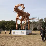 La réplica llegó a la Ciudad en partes y el montaje fue toda una aventura: durante 4 días, personal técnico especializado del MEF llevó adelante el armado a gran escala, usando grúas, andamios y escaleras.