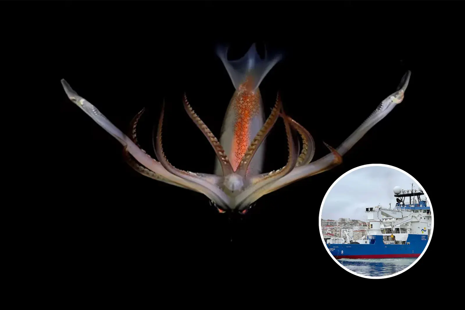 Foto de transmisión del CONICET.