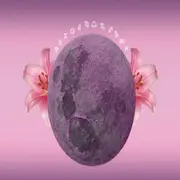 Un planeta con flores y signos del zodíaco.