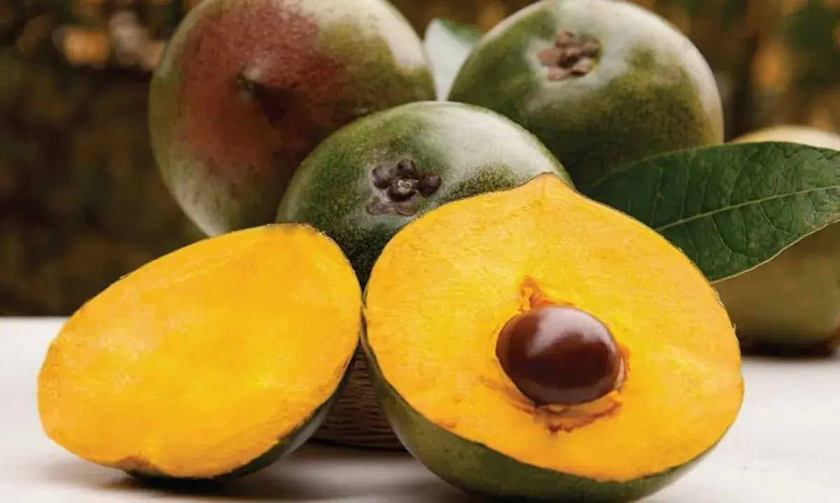 Lúcuma: beneficios del superalimento andino para la mujer en cada etapa de su vida y cómo incorporarlo