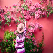 Foto de planta Santa Rita.