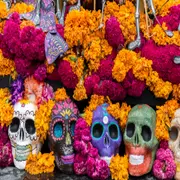 La ciudad se llena de color, música y flores para celebrar el Día de los Muertos, la tradicional festividad mexicana que honra a los que ya no están.
