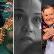 Diez documentales que te harán cambiar tu visión del mundo