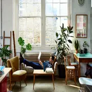 Imponentes, elegantes y llenas de vida, estas especies no solo aportan frescura, sino que también se convierten en verdaderas protagonistas de la decoración, llenando cada rincón de energía y sofisticación natural.