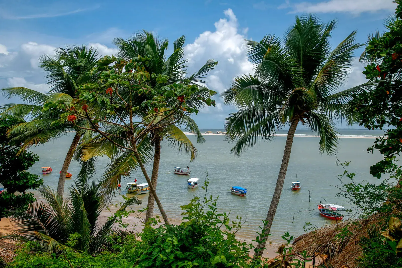 Entre las dunas blancas y las lagunas de agua cristalina, se encuentra Barra Grande, un pequeño pueblo en el estado de Piauí que forma parte de la famosa Ruta das Emoções.