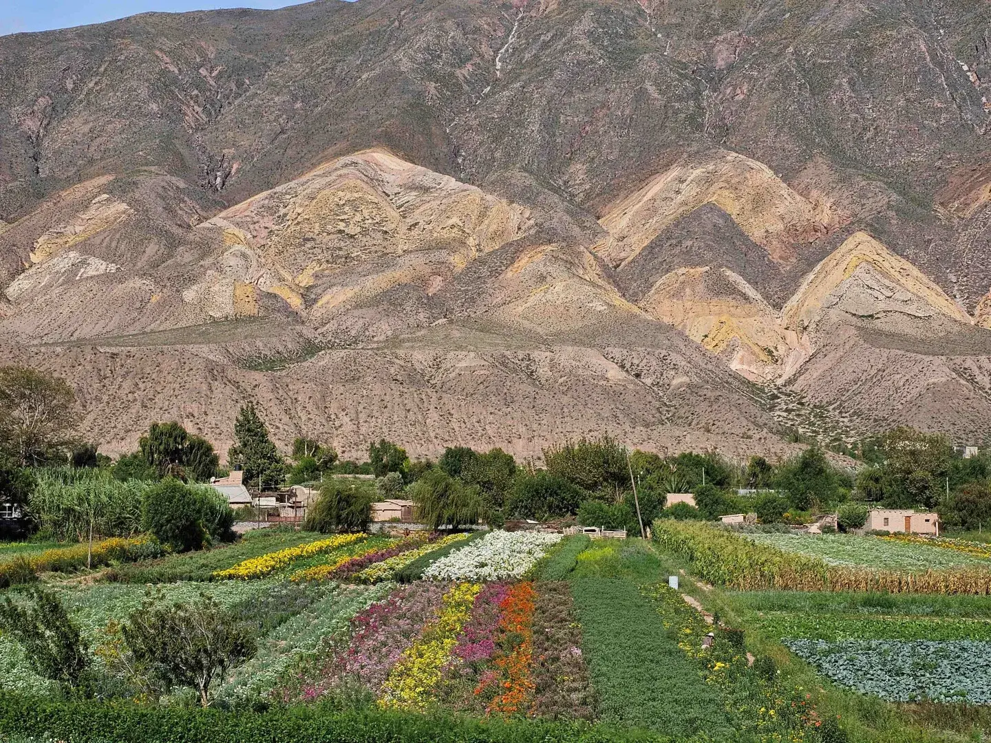 Maimará, joya cultural y paisajística dentro de la Quebrada de Humahuaca fue declarada Patrimonio Mundial por la UNESCO.