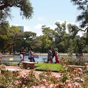 Durante la primavera, el icónico jardín porteño se convierte en un espectáculo natural único. Te contamos cuándo visitarlo, qué especies florecen y por qué esta postal es una de las más encantadoras de la ciudad.