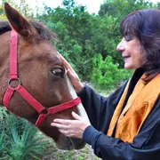 Horóscopo chino 2026: predicciones de para cada signo según Ludovica Squirru