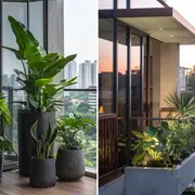Balcones al sol: plantas que mejor resisten el calor y poca agua.