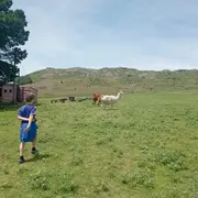 En Tandil combinás aire serrano, deporte, naturaleza y descanso; es ideal para una escapada en familia.