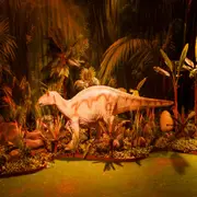 El fin de semana se llena de actividades para realizar en Buenos Aires