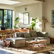 En plena temporada de calor, las plantas se convierten en las grandes protagonistas del hogar