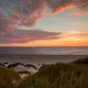 Atardecer soleado en playa arenas verdes dónde la arena y el mar se tiñen de un amarillo