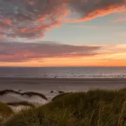 Atardecer soleado en playa arenas verdes dónde la arena y el mar se tiñen de un amarillo